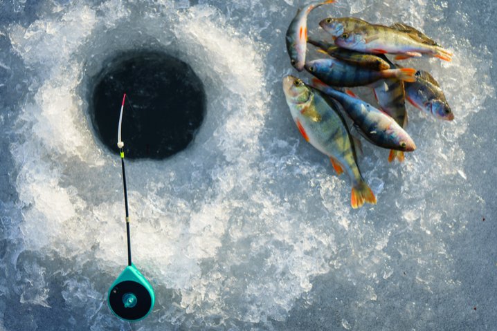 Discover ice fishing game