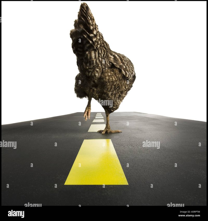 Learn about chicken road spiel Learn about chicken road spiel